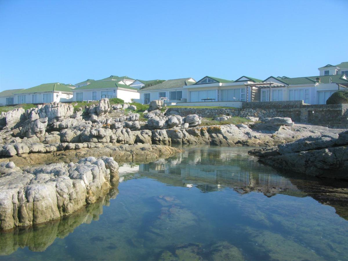 Beachfront House - Hermanus Whale View Villa Bagian luar foto