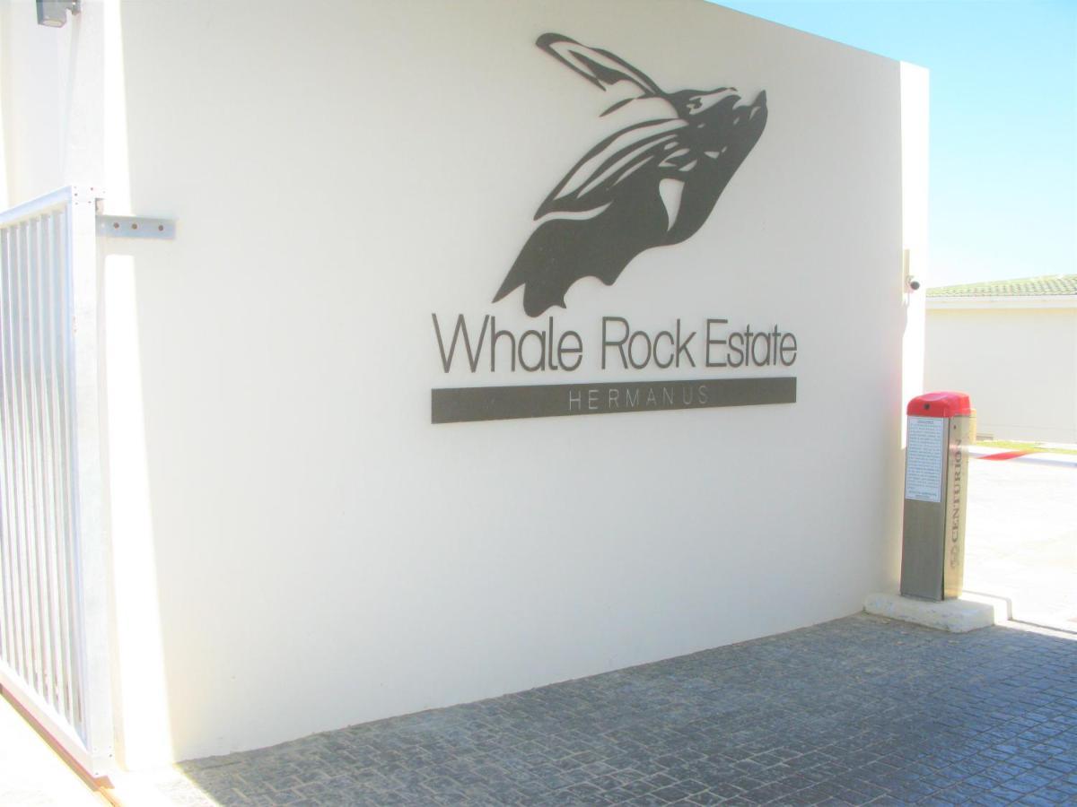 Beachfront House - Hermanus Whale View Villa Bagian luar foto
