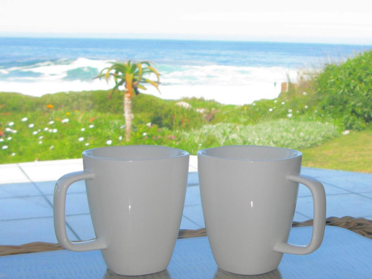 Beachfront House - Hermanus Whale View Villa Bagian luar foto