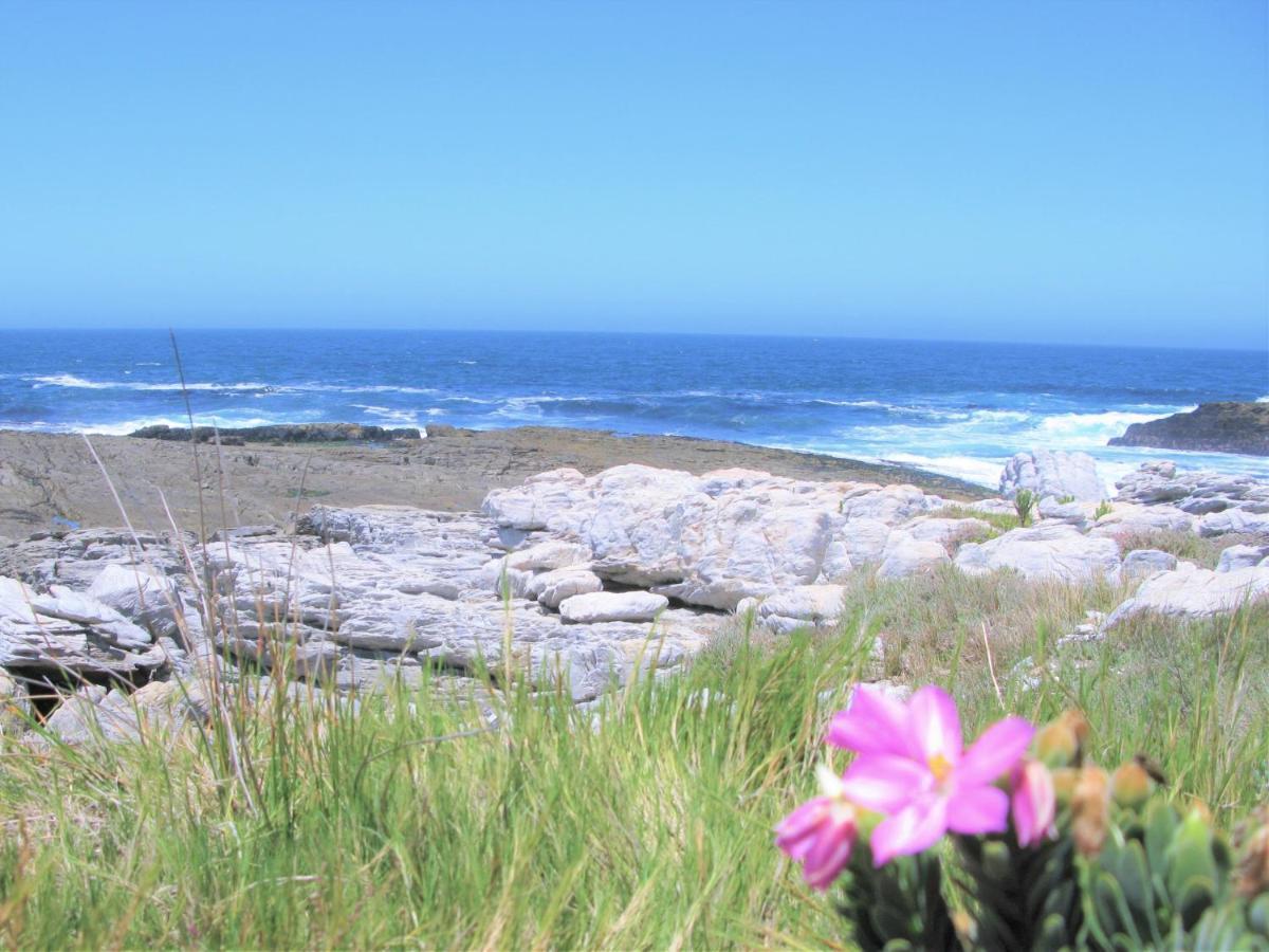 Beachfront House - Hermanus Whale View Villa Bagian luar foto