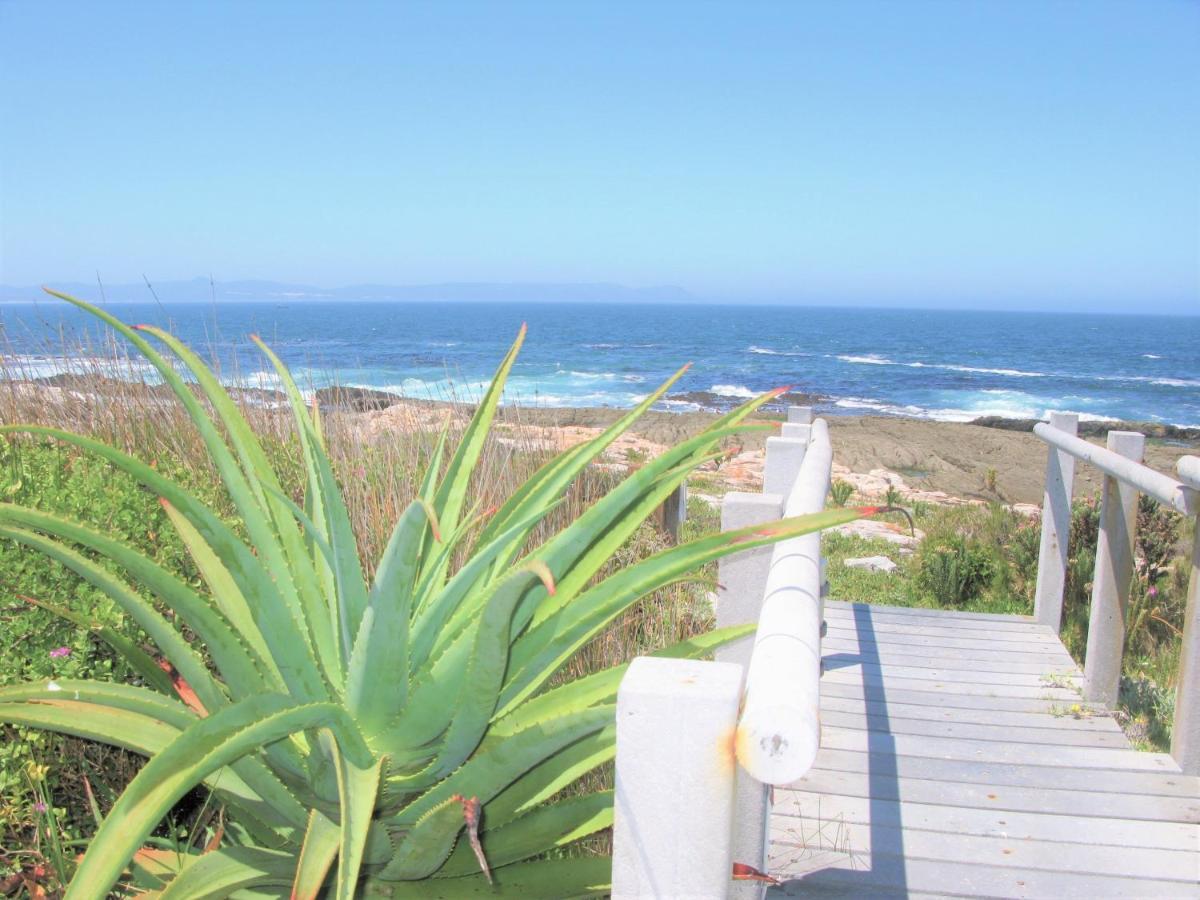 Beachfront House - Hermanus Whale View Villa Bagian luar foto