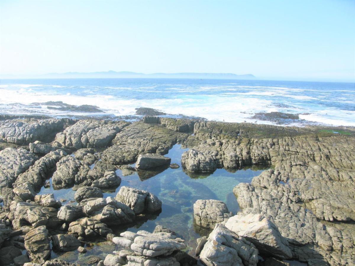Beachfront House - Hermanus Whale View Villa Bagian luar foto
