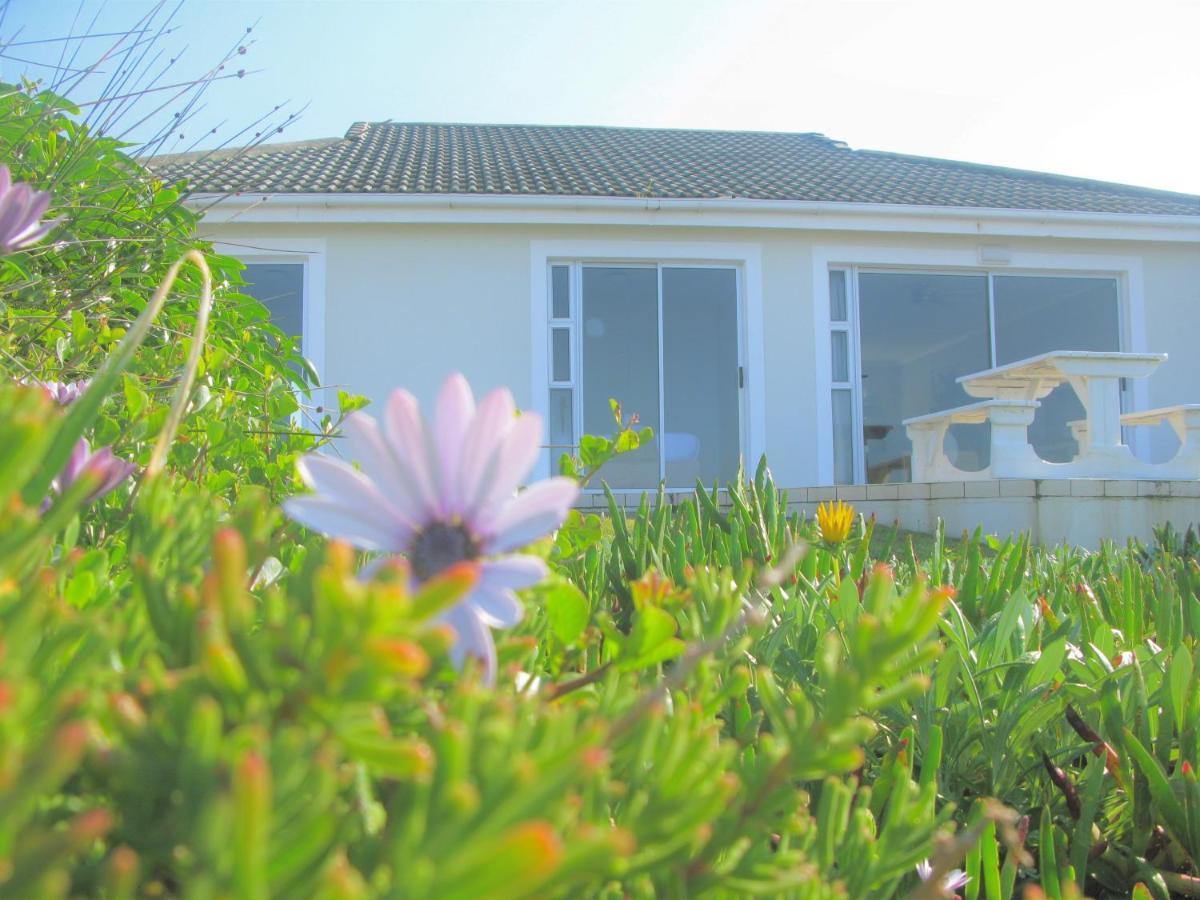 Beachfront House - Hermanus Whale View Villa Bagian luar foto
